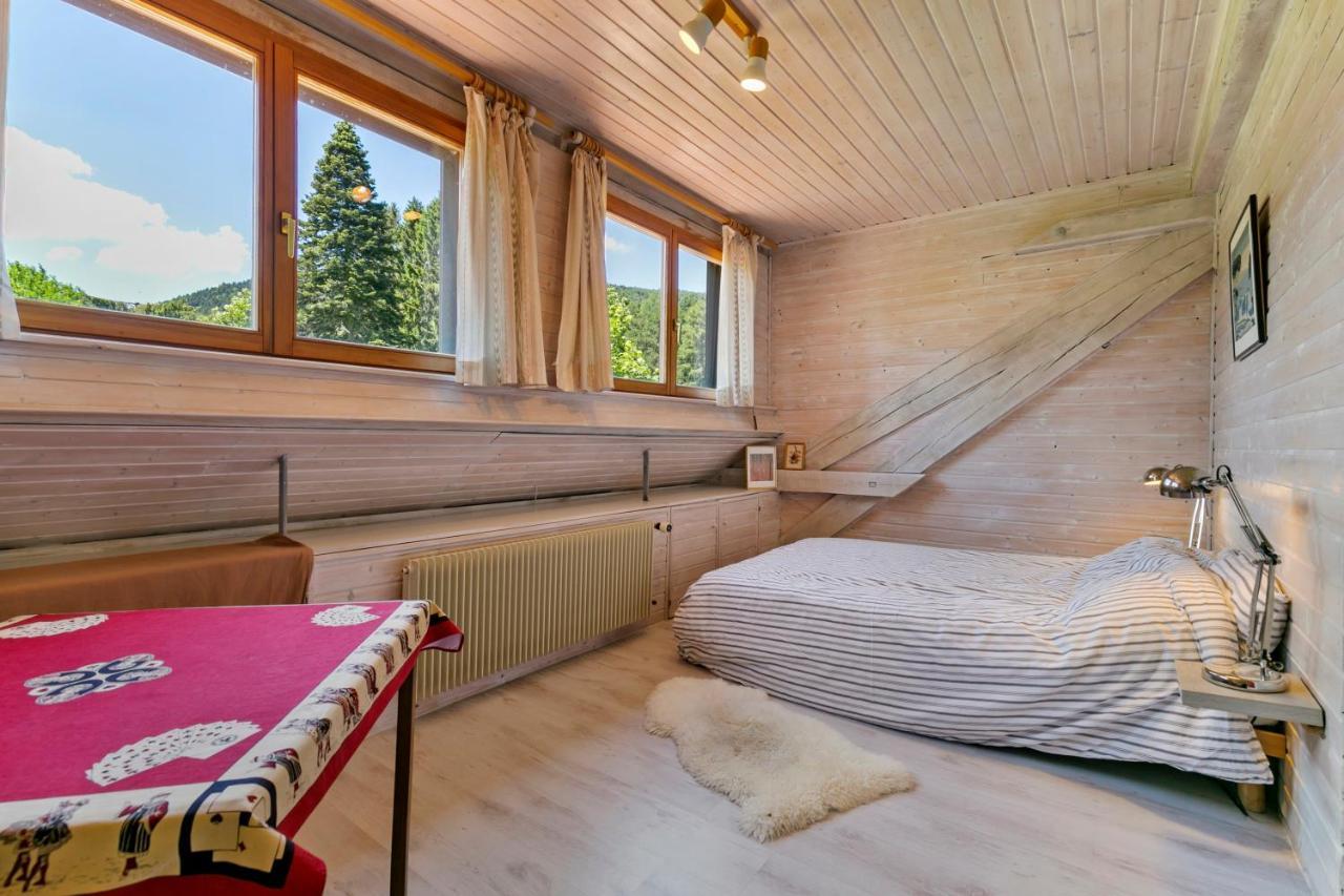 Chalet Spacieux A Wangenbourg-Engenthal Avec Vue Panoramique מראה חיצוני תמונה